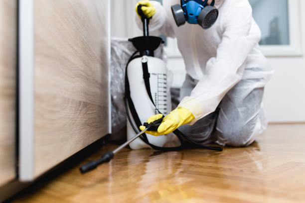 Best Rat Extermination Near Me  in Anna, TX