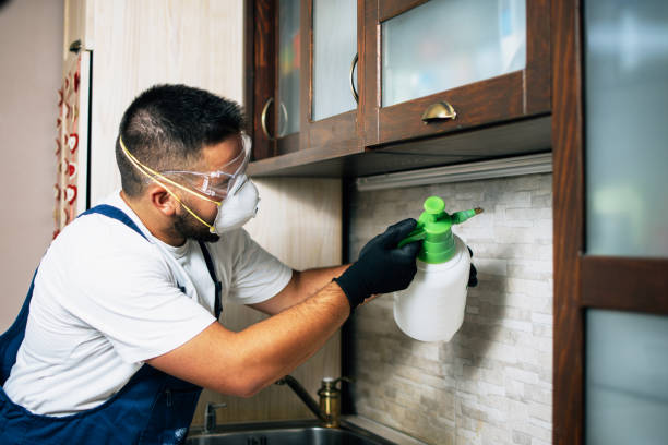 Best Termite Control Services  in Anna, TX