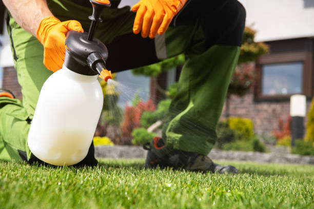 Best Affordable Pest Control Services  in Anna, TX