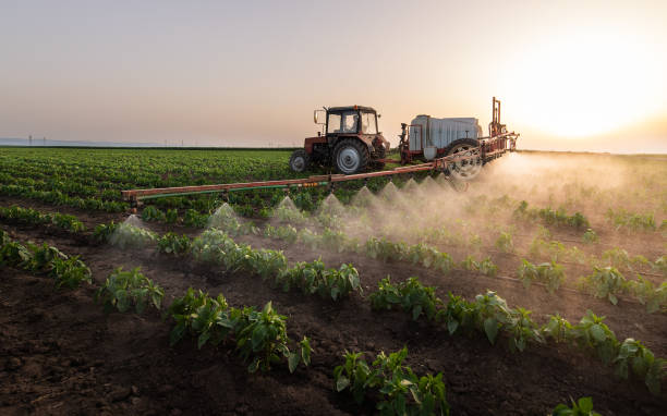 Best Insect Control  in Anna, TX