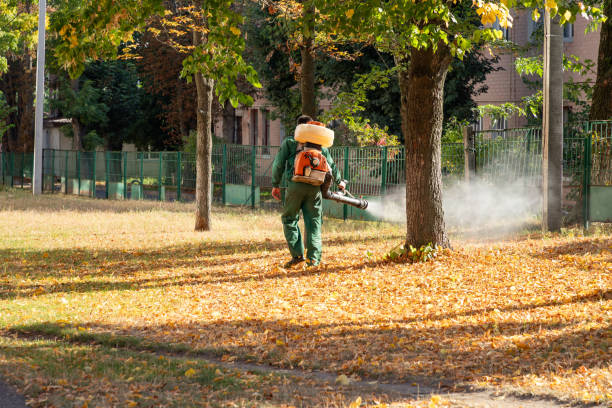 Best Mosquito Control Services  in Anna, TX